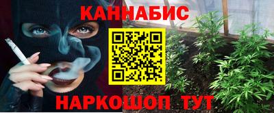 mdpv Ачхой-Мартан