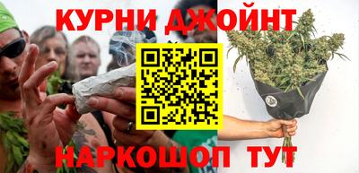 apvp Аша