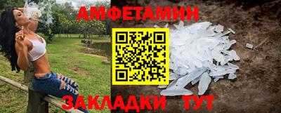 apvp Аша